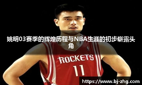 姚明03赛季的辉煌历程与NBA生涯的初步崭露头角