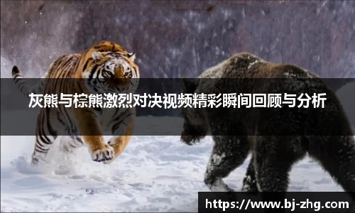 德赢·(VWIN)官方网站-AC米兰官方合作伙